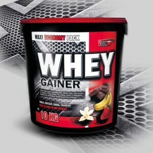Whey Gainer - Vision Nutrition 2
